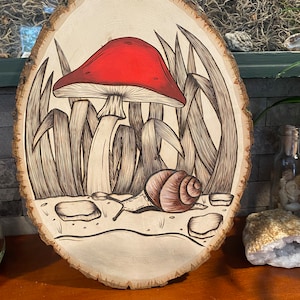 Mushrooms and snail, in color