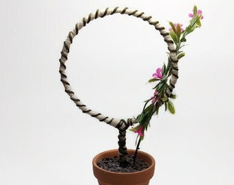 Small plant support, indoor plant stake, plant stand, plant trellis, indoor plant accessory