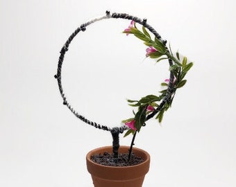 Estaca pequeña para planta de interior, soporte para planta, soporte de planta, enrejado de plantas, accesorio de planta de interior