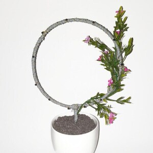 plant support,  indoor plant stake, plant stand, plant trellis, indoor plant accessory