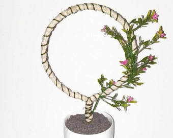 plant support,  indoor plant stake, plant stand, plant trellis, indoor plant accessory