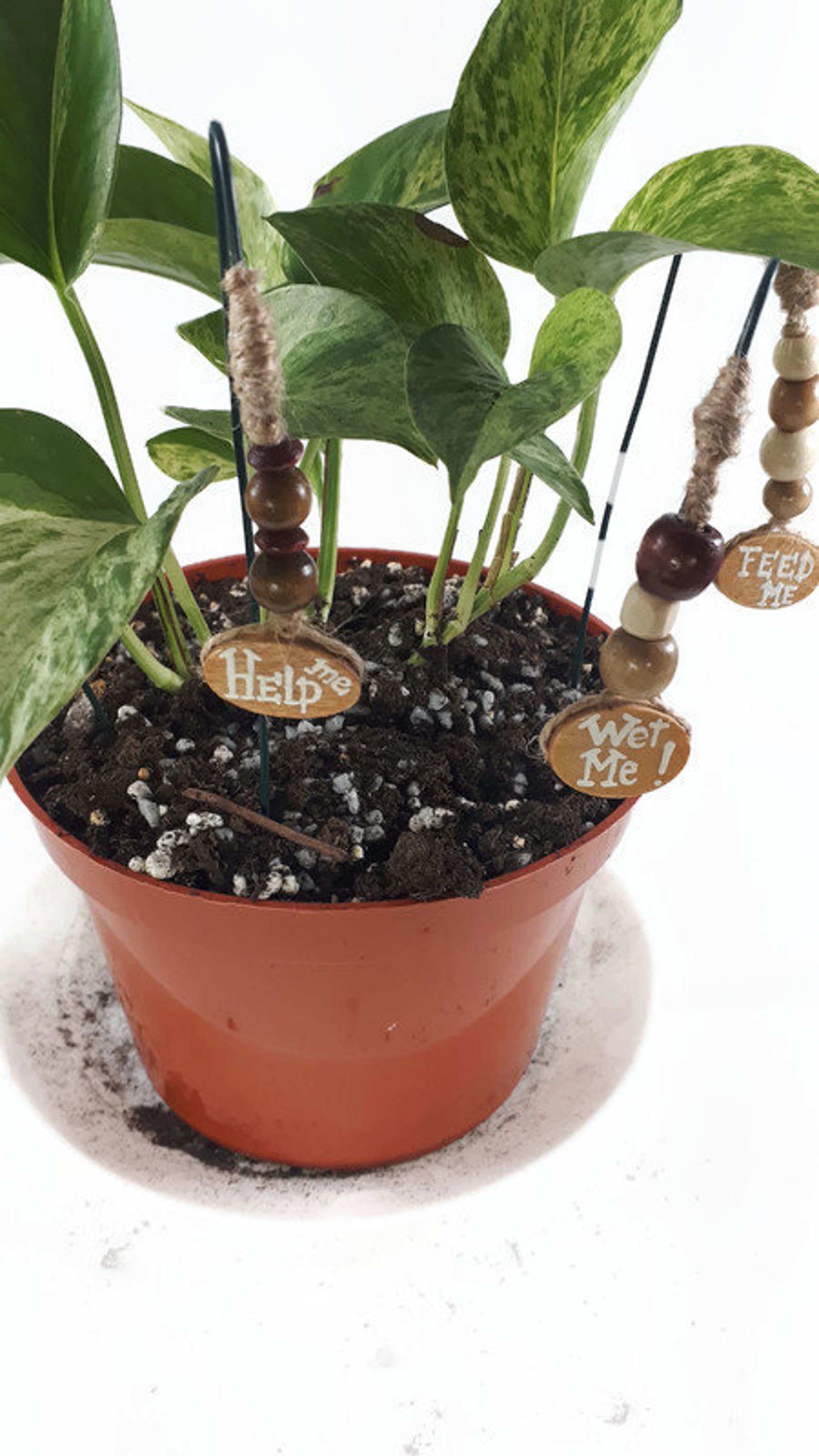 Decorative stakes for plant pot set of 4 stakes plant Etsy