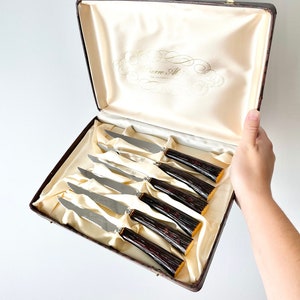 Edelstahl Sheffield England Steakmesser von Pierre Alain, Faux Bone Griffe