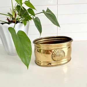 May include: A gold oval planter with a raised seashell design. The planter is empty and sitting on a white surface.
