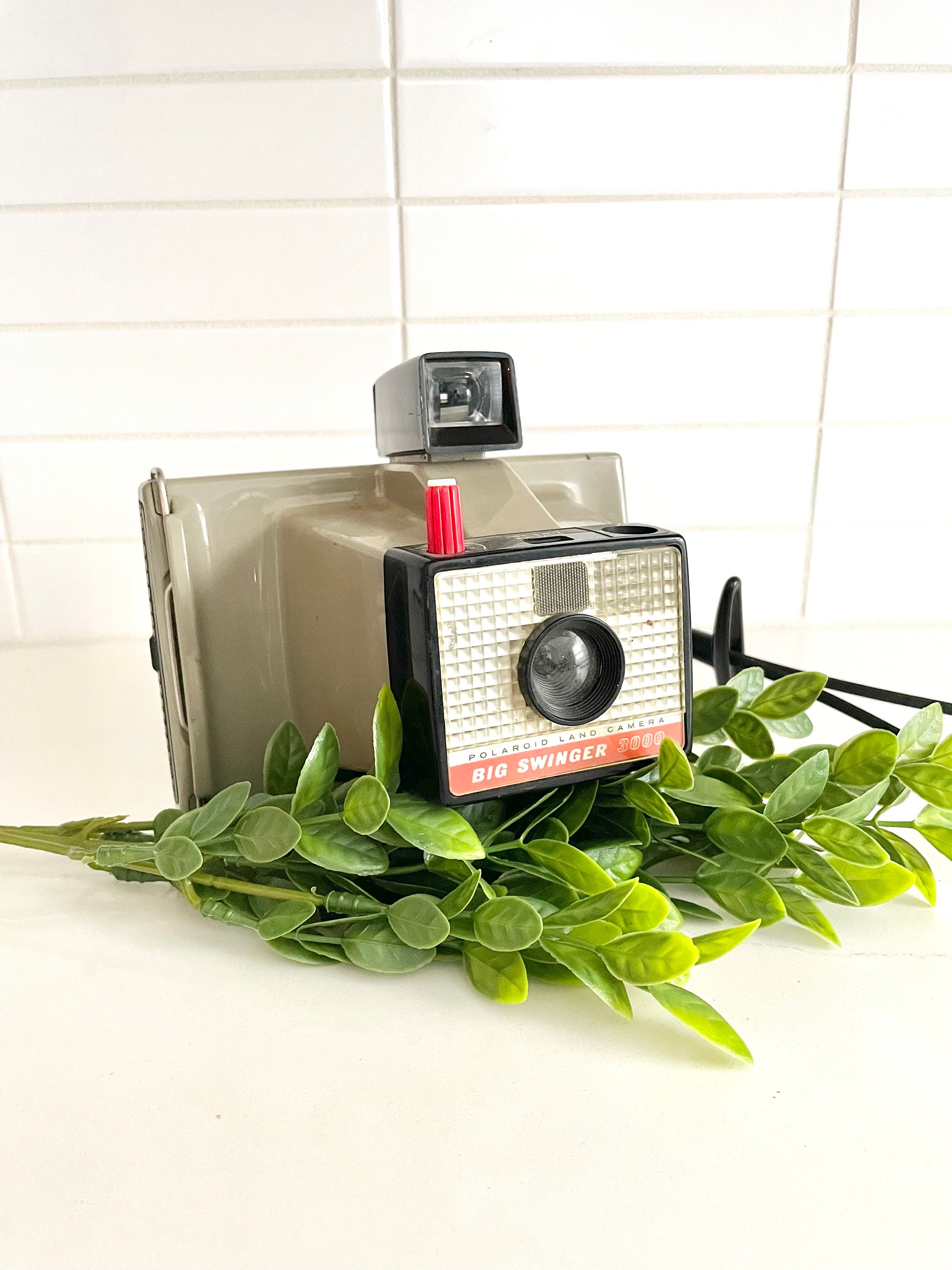 Polaroid big shot - Etsy 日本