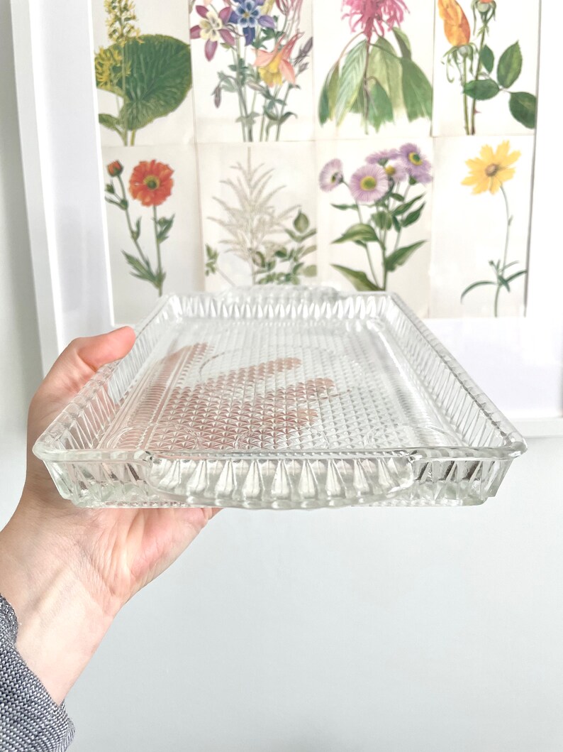 Puede incluir: Una bandeja rectangular de vidrio transparente con un patr&oacute;n de diamantes texturizado en la base y un borde decorativo. La bandeja se sostiene frente a una impresi&oacute;n bot&aacute;nica enmarcada.