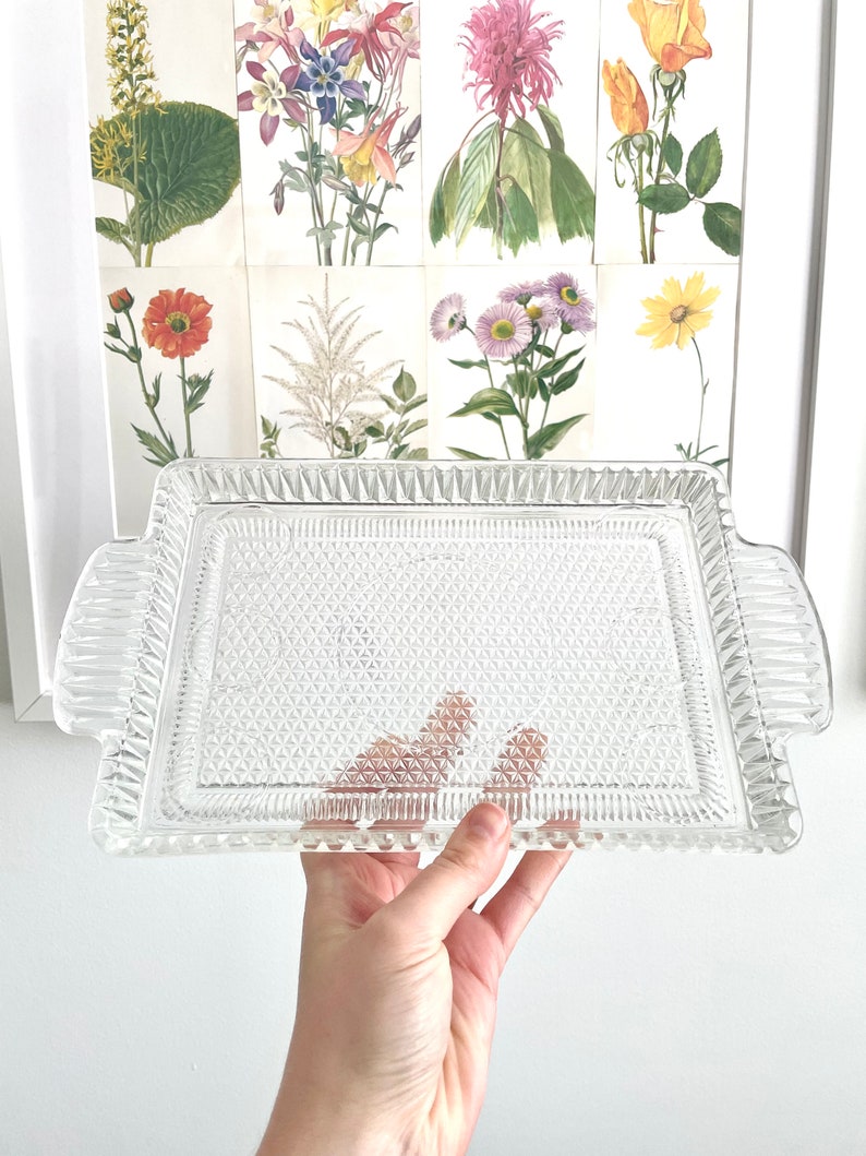 Puede incluir: Una bandeja rectangular de vidrio transparente con un patr&oacute;n de diamantes y asas. La bandeja se sostiene frente a una colecci&oacute;n enmarcada de grabados bot&aacute;nicos con flores coloridas.