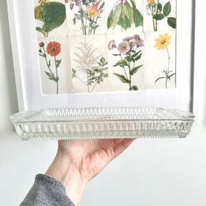 Puede incluir: Una fuente de vidrio transparente, rectangular, con un dise&ntilde;o texturizado y acanalado. El plato se sostiene frente a una impresi&oacute;n bot&aacute;nica enmarcada con varias ilustraciones de flores coloridas. El plato tiene un asa en cada extremo.