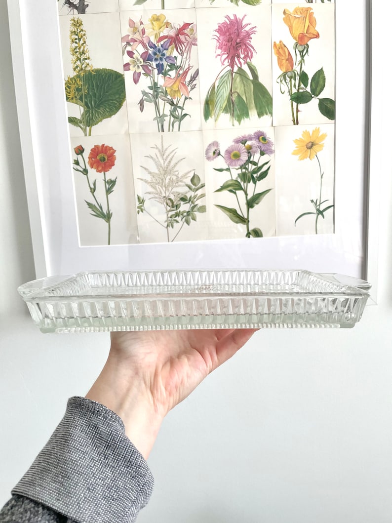 Puede incluir: Una fuente de vidrio transparente, rectangular, con un dise&ntilde;o texturizado y acanalado. El plato se sostiene frente a una impresi&oacute;n bot&aacute;nica enmarcada con varias ilustraciones de flores coloridas. El plato tiene un asa en cada extremo.