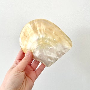 Schillernde Muschel Schmuckschale oder Seifenschale