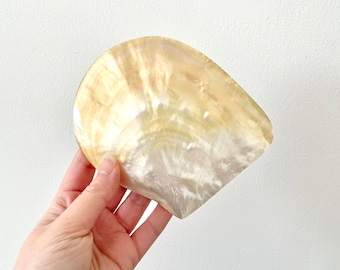 Iridescent Seashell Trinket Dish or Soap Dish