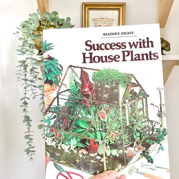 House Plants Etsy Canada