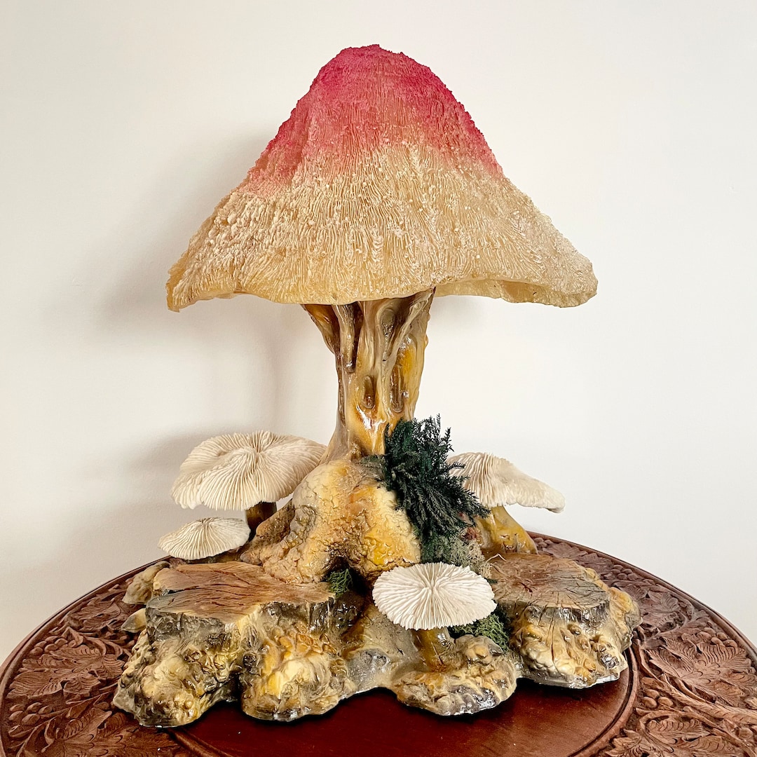 mushroom　0324 Shroomyz - 5 Pack – Creekside Nursery, Inc