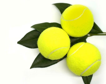 Vegan Pet Fetch Toy Dog Tennis Ball Zero Waste Chem Free Organic Handmade Botanical Holistic Wholistic Wellness, Pet, Qty 3 Yellow