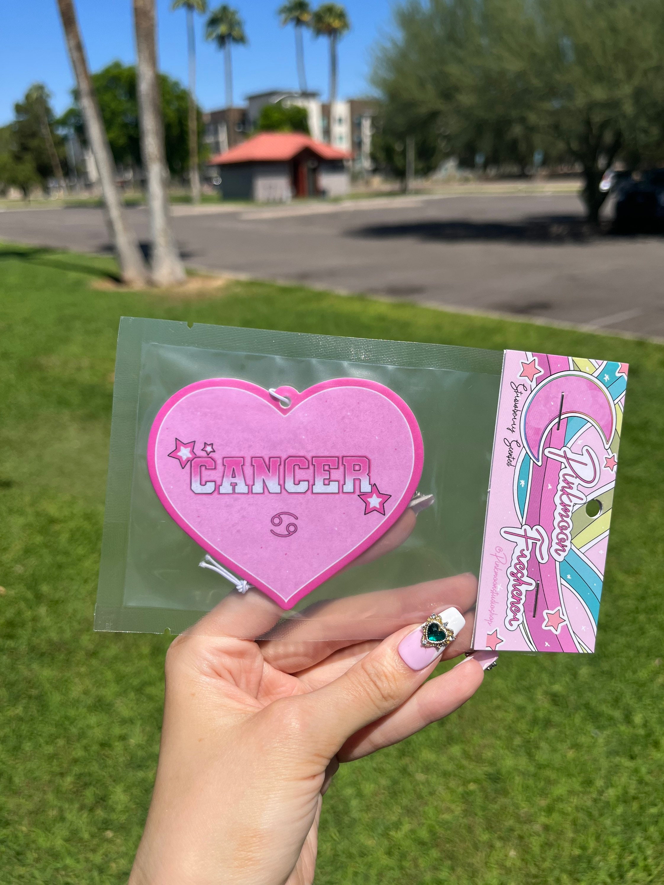 Cancer Zodiac Sign Freshener Car Accessories Y2k Etsy