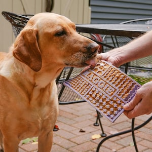 Tapis à lécher en silicone personnalisé Mangeoire lente personnalisée pour l'anxiété, l'enrichissement du chien, le divertissement canin silicone de qualité alimentaire image 1