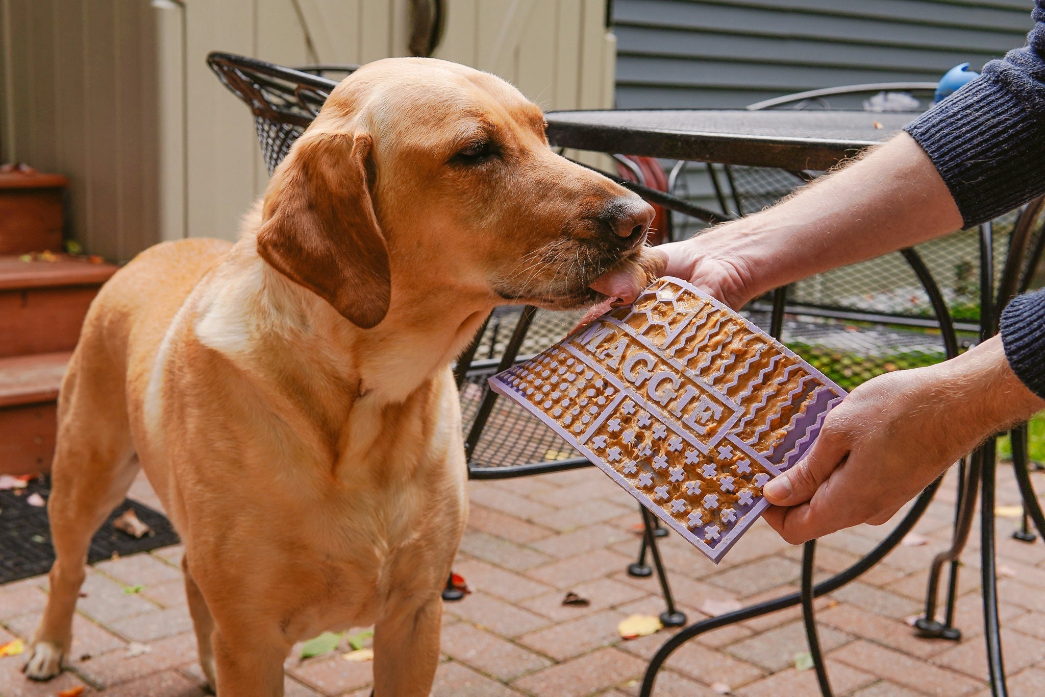 Pet Junkie Silicone Dog Bowl Mat - Placemat for Pet Bowls