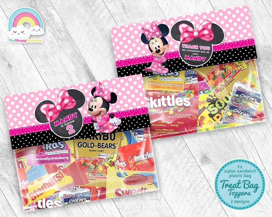 Minnie Mouse Birthday Favor Bags, Birthday Bags, White Gift Bags, Treat  Bags, White Bags With Disney Theme Set of 10 Bags 