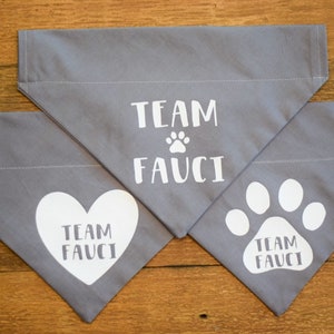 Election Vote 2020 Political Statement Dog Accessory Fauci Cuomo Dog Bandana Anthony Fauci