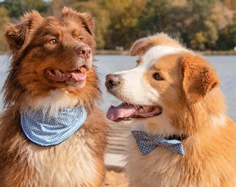 LENNY - Stylisches Hunde-Accessoire-Set: Wende-Halstuch für Hunde und Hunde-Fliege aus Hemdstoff