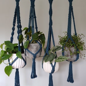 Könnte beinhalten: Vier tealfarbene Makramee-Pflanzenhänger mit Holzringen, die jeweils eine Topfpflanze halten. Die Pflanzen befinden sich in weißen und grauen Keramik-Töpfen.