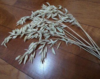 oat sprays for hamsters