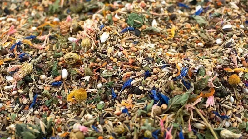 Getzoo Dwarf Hamster Food Normal or Basic / Overweight image 4