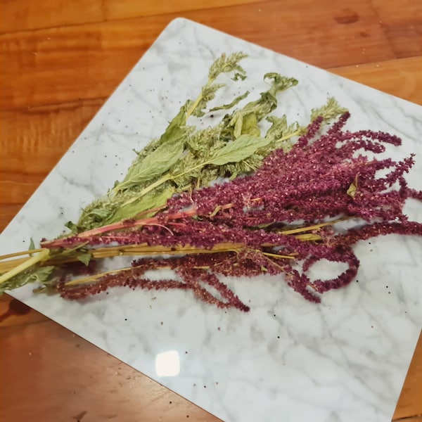 Organic Amaranth