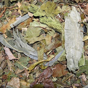 17 Mix Leaves for Hamster
