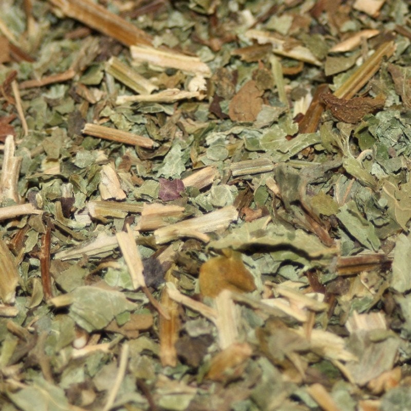 Dried Willow Leaves | Etsy