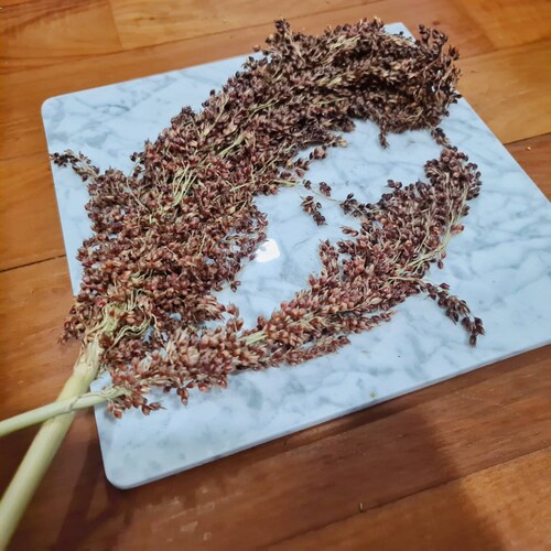 Organic Flax Spray Flax Spray Etsy