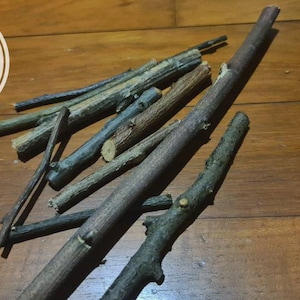 かじり棒シリーズ10選