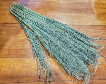 Organic Pagima Green Spray