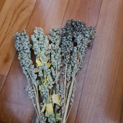 Organic Flax Spray Flax Spray Etsy