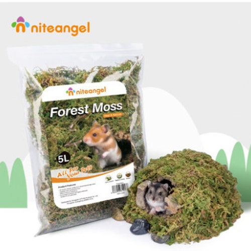 Niteangel Moss Pad Etsy