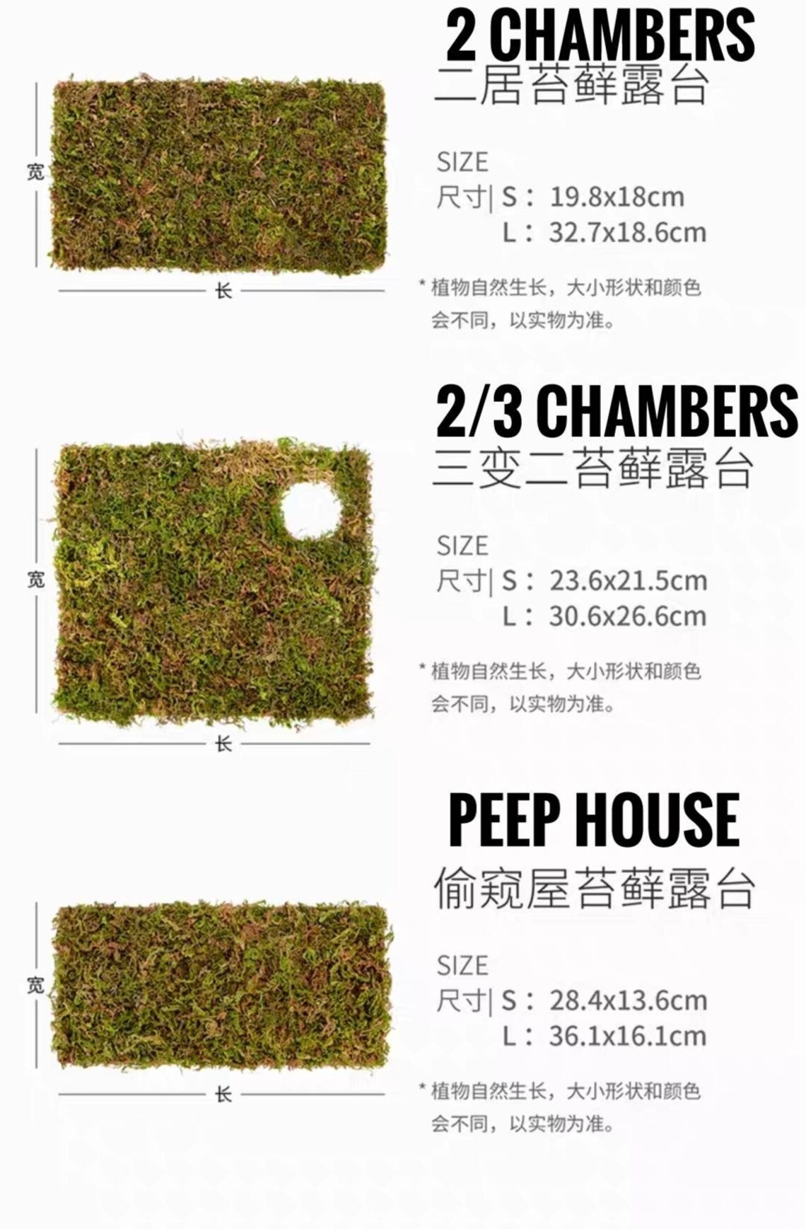 Niteangel Moss Pad Etsy