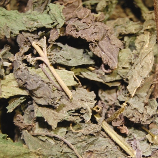 Dried Birch Leaves