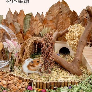 Niteangel Harvest Wind - Edizione Giardino
