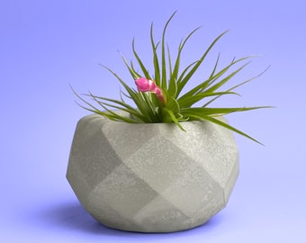 Air Plant Holder, Geometric Cement Planter, Tillandsia Airplant display, Hanging Succulent Pot, Plant Lover Gift Terrarium, Concrete Decor