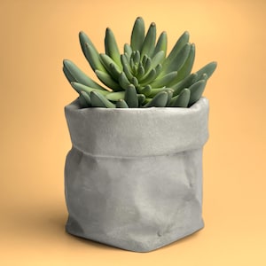 Fioriera succulenta per sacchetti, vaso fioriera in cemento da 5 pollici, decorazione in cemento, display per cactus, vaso per sacchetti di carta, decoro industriale, arredamento moderno, arte minimale