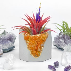 Geode Planter Pot | Red Aventurine Crystal Planter | Concrete Succulent Pot |  Cement Air Plant Holder Cactus | Reiki Crystal Candle Holder