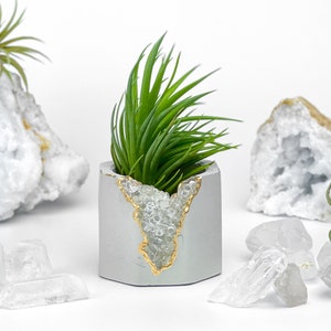 Könnte beinhalten: Ein grauer Betontopf mit goldenen Akzenten und einem kristallartigen Design. Der Topf ist mit einer grünen Luftpflanze gefüllt. Der Topf ist von weißen Kristallsteinen umgeben.