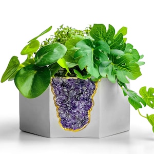 May include: A white hexagonal planter with a purple amethyst crystal design and gold accents. The planter is filled with green plants, including a monstera and a pothos.