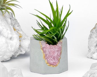 Maceta de cristal de cuarzo rosa / Soporte para plantas de aire de geoda de hormigón hecho a mano