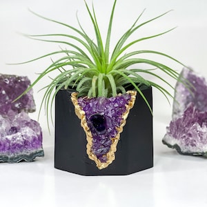 Puede incluir: Un macetero hexagonal negro con un diseño de cristal de amatista con borde dorado, que contiene una planta de aire verde. El macetero está rodeado de cristales de amatista.