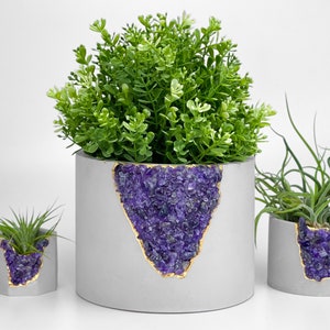 Könnte beinhalten: Drei graue Beton-Pflanzgefäße in verschiedenen Größen, jedes mit einem gezackten Amethyst-Design und goldenem Rand. Die Pflanzgefäße enthalten grüne Pflanzen und schaffen eine dekorative und natürliche Ästhetik. Der größte Pflanztopf hat eine volle grüne Pflanze.