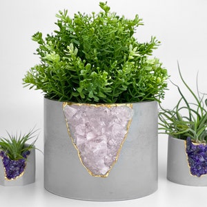 Könnte beinhalten: Drei Beton-Pflanzer mit Kristall-Design. Der größte Pflanzer ist grau mit einem rosafarbenen Kristall-Design und goldenen Akzenten. Die beiden kleineren Pflanzer sind grau mit violetten Kristall-Designs und goldenen Akzenten. Die Pflanzer sind mit grünen und braunen Pflanzen gefüllt.
