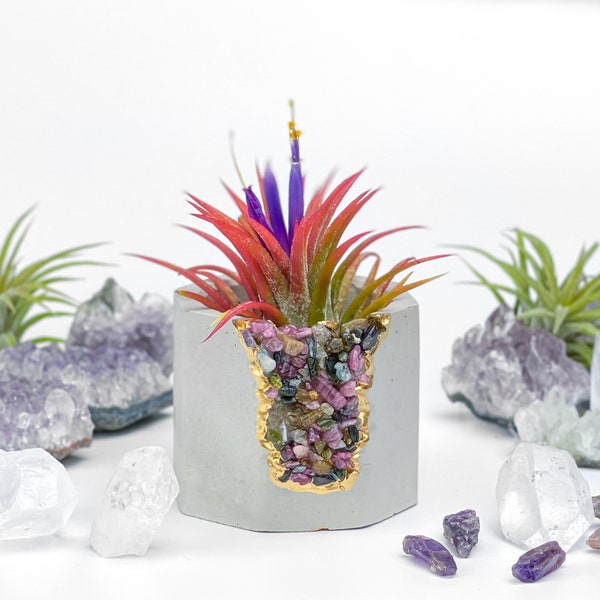 Succulent Crystal Etsy