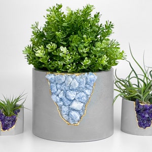 Könnte beinhalten: Drei Beton-Pflanzer mit Pflanzen in verschiedenen Größen. Der größte Pflanzer ist grau mit goldener Verzierung und einem blauen Kristallmuster. Die beiden kleineren Pflanzer sind grau mit violetten Kristallmustern.