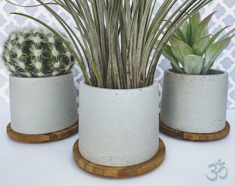 Reeks 3 Sappige plantenbakken | Kleine concrete planter Air Plant Holder - Modern Gift - Cement Planter - Kleine Plant Pot met Bamboe Lade